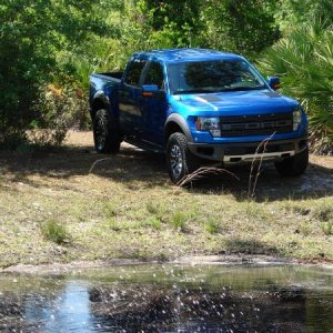 2012 Raptor