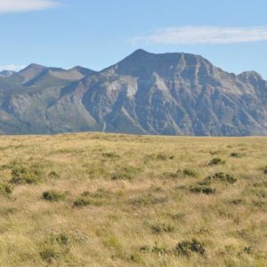 mountains behind the prairie