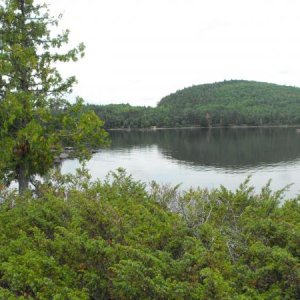 Algonquin Aug12 032