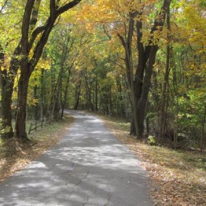 Walking the trail