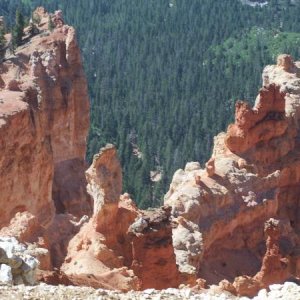 Pink Cliff near Tropic Res., UT