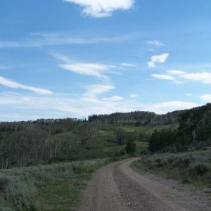 High country trail, UT.