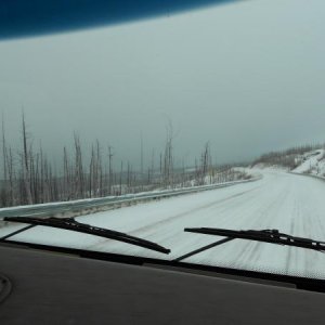 Wyoming highway 89 north of St Mary snowing burned still standing trees