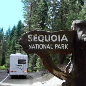 Sequoia national park