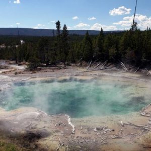 yellowstone