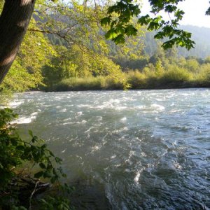 West Fir Oregon - Willamette river - Sept. 2012