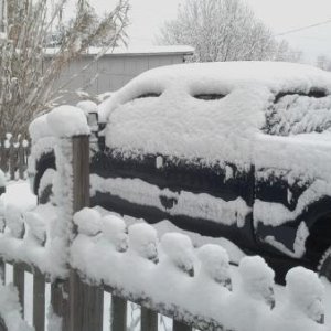 Lovely Southern Indiana Snow