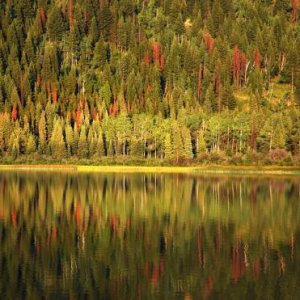 Grave Lake 12007 08 15 20 18 26 1