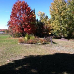 Fall colors at our place in Chassell, Mi.