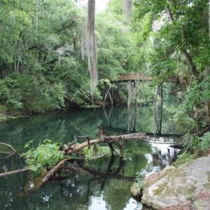 Hillsborough River State Park 4/20/13