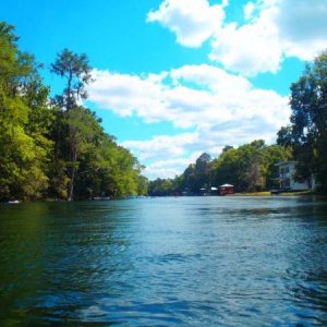 Rainbow River State Park 4/6/13