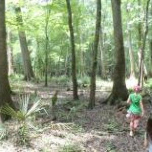 Chipola River Flood Plain - Florida Caverns SP - Memorial Day wkd