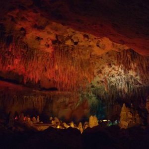 during our flashlight tour, our guide turned on the lights in the "Round Room" - Florida Caverns SP - Memorial Day wkd