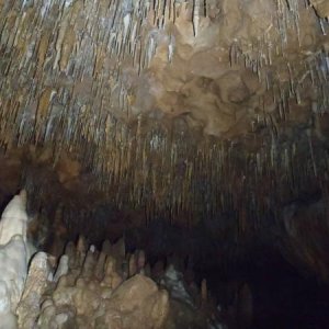 cave flashlight tour - Florida Caverns SP - Memorial Day wkd