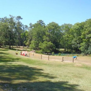 field next to Blue Hole - Florida Caverns SP - Memorial Day wkd