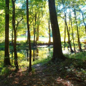 walkway from the campground to the swimming hole - Florida Caverns SP - Memorial Day wkd