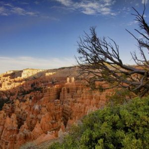 Bryce Canyon Sunset Point