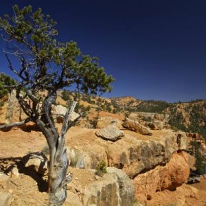 Red Canyon Hike