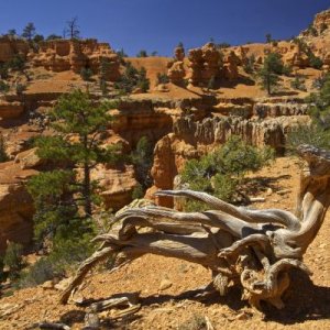 Red Canyon Hike