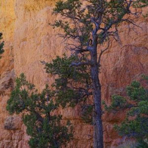 Red Canyon Hike