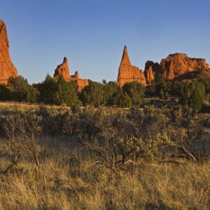 Kodachrome Basin Evening View