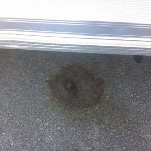 RV Ground Stain