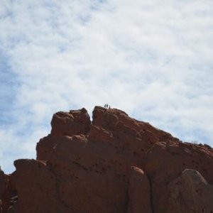 Rock climbers that made it to the top of one of the many formations in Garden of the Gods