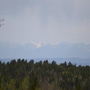 Mountains in the distance at Mueller State Park.