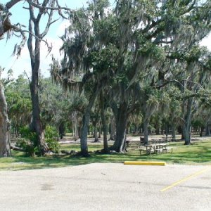 Lovely park with old moss draped oaks...