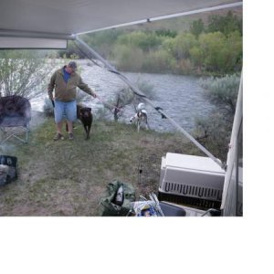 Pups on the Boise River