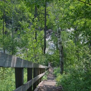 Part of the 1 mile hike to reach Two Step Falls