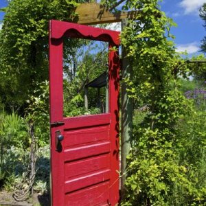 Red Door