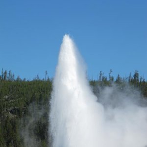 of course "Old Faithful"