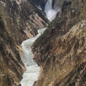 Grand Canyon of Yellowstone