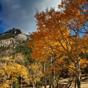 RMNP Autumn