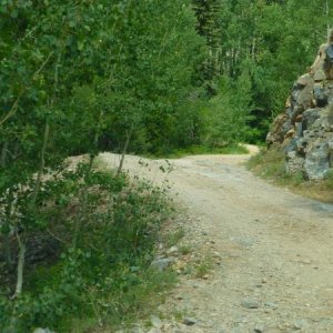 A typical back road in the Colorado Rockies


©Ray Hanson, All Rights Reserved