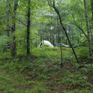 Lake Powhatan National Forest, Asheville, NC