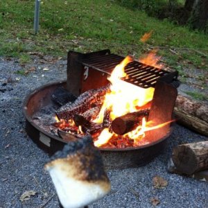 Enjoying the fire & marshmallows.