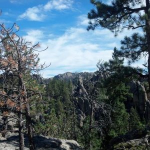 Harney Peak in the distance