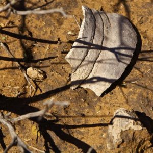 Ute Mountain Tribal Park, Cortez, CO
Pottery shard