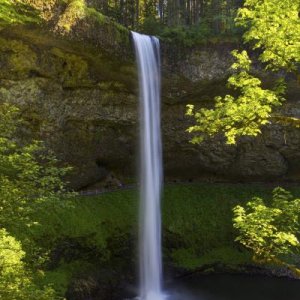 Silver Falls, Oregon