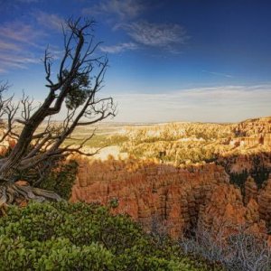 Bryce Canyon, UT