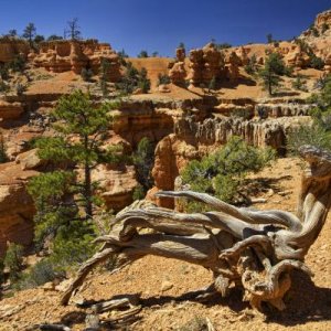 Red Canyon, Arches Trail
Red Canyon, UT