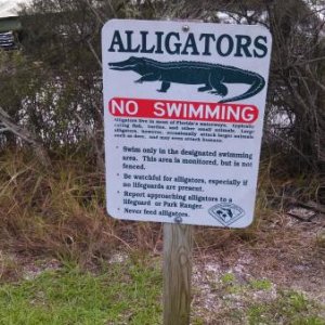 Tomoka State Park, Ormond Beach, FL