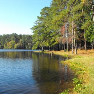 Indian Springs State Park, GA