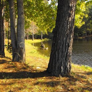 Indian Springs State Park, GA