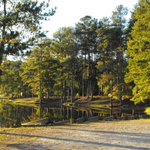 Indian Springs State Park, GA