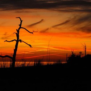 Dauphin Island, AL. Beach at sunset