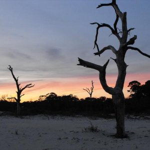 Dauphin Island, AL. Beach at sunset