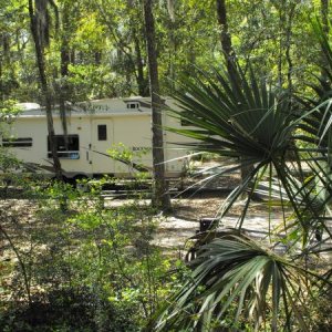 Fort McAllister State Park, GA Really cool fauna in the campground